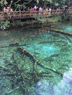 清澈见底的美丽水下景观