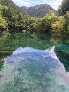 九寨沟清澈碧绿的湖水