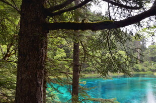 森林中的蓝绿色清澈湖水