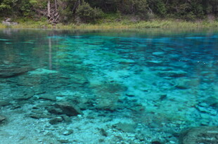 清澈碧蓝的水底世界