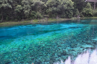 清澈蓝绿湖水 水下景致迷人