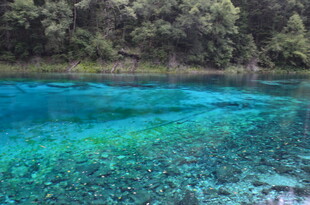 梦幻蓝绿清澈湖水景观