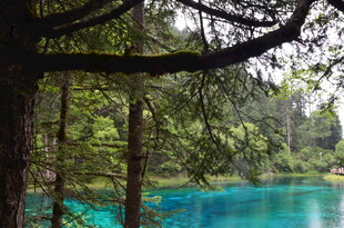 森林中的蓝绿色清澈湖水