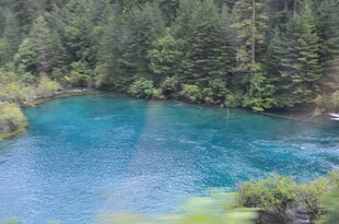 蓝湖映翠林 自然之美景