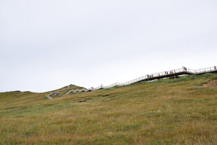 草原远景 天际线与植被