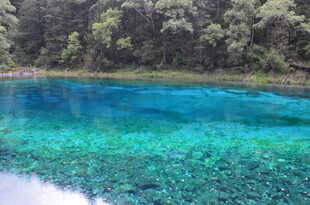 清澈蓝绿湖水 山林环绕