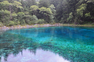 梦幻蓝湖 森林环绕的仙境