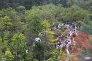 山林间蜿蜒的多彩植被