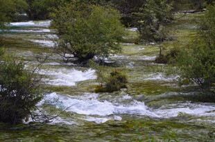 山间溪流与葱郁植被