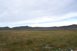 广袤草原与远处山峦景色