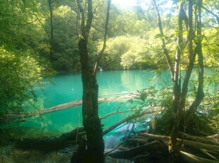 林间幽蓝湖水自然美景