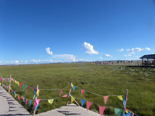 草原木栈道上的多彩经幡