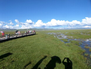 草原栈道上的游客风景