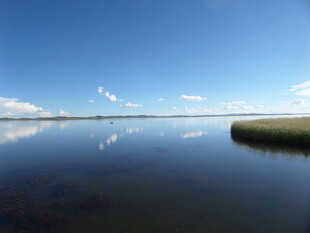 宁静湖面与蓝天的美丽景致