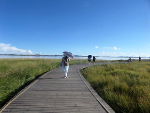 漫步栈道赏自然风光