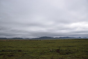草原阴天景色