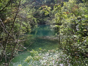 山林间的幽美清澈湖水