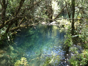 山林间的清澈幽蓝小湖