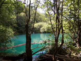 森林中的幽蓝清澈湖泊