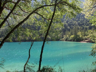 翠绿山林间的幽蓝湖泊