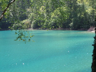 蓝绿色湖水与周边森林美景