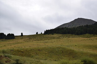 山间草地与远处山峦