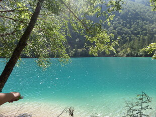 清澈蓝湖旁的自然美景