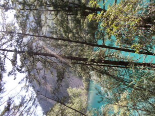 清澈湖水倒映山林美景