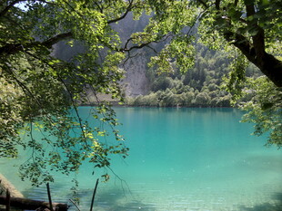 湖畔绿荫下的幽美蓝湖