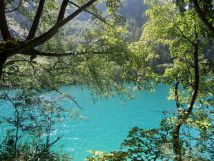 湖畔绿荫下的幽美蓝湖