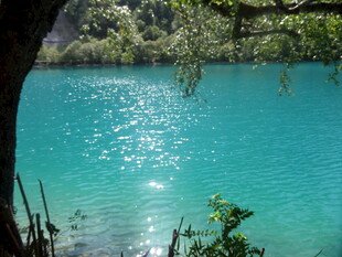 湖畔翠树映蓝湖美景