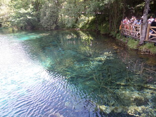 清澈见底的山间碧绿溪流