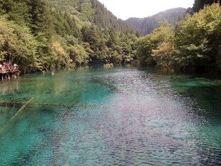 清澈碧绿的山间河流美景
