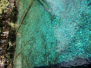 梦幻水下森林景观