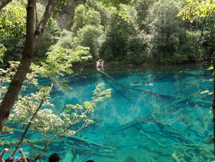 梦幻蓝绿色森林中的幽潭