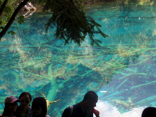 游客观赏清澈水下景观