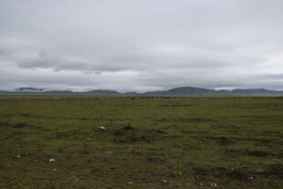 广袤草原与阴沉天空