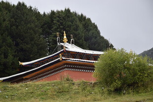 藏式寺庙隐于山林间