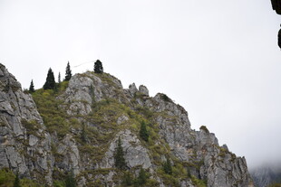 嶙峋山峰上的几棵树木