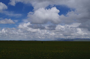 草原上空的壮丽云朵