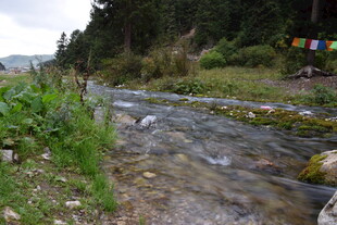 山间清澈小溪潺潺流淌
