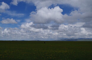 草原上空的壮丽云朵