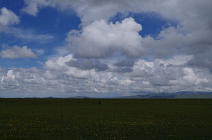 草原上空的壮丽云层