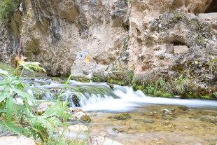 山间溪流潺潺 自然景致