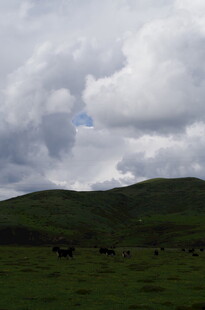 草原上的乌云与牧群