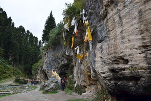 悬崖边的独特景观