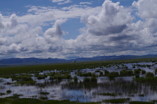 湿地风光 云影倒映水面