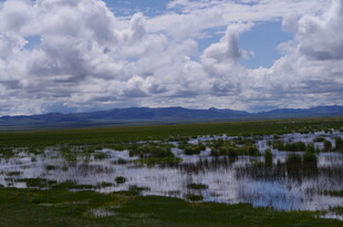 湿地风光 云下的宁静水域
