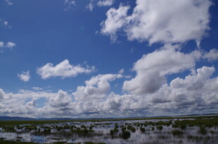 蓝天白云下的开阔水域