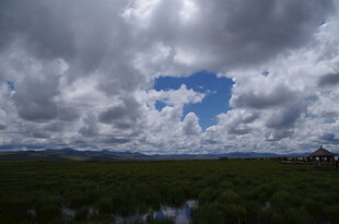 乌云下的开阔草地景观